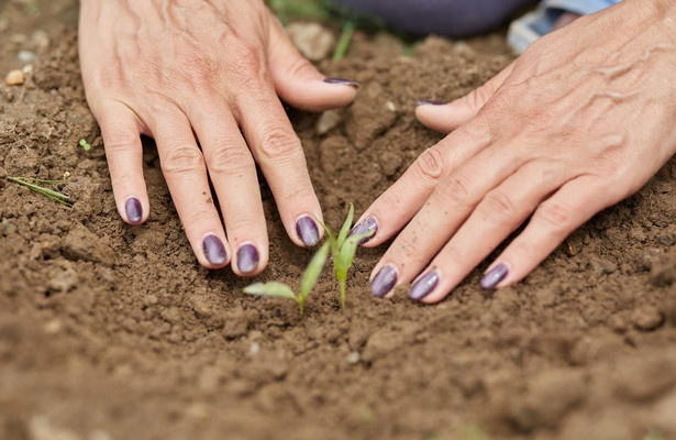 Eva-Maria Westbroek, terug naar de aarde