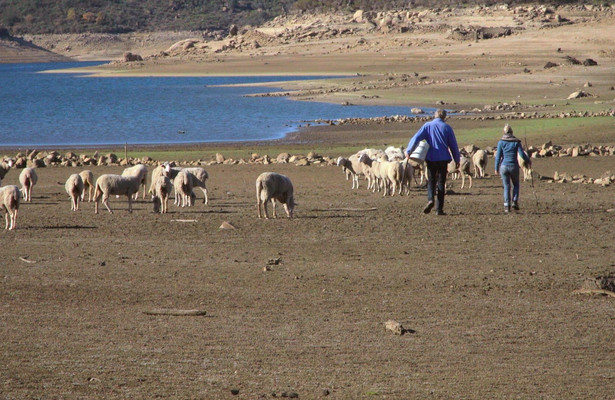Eviva España