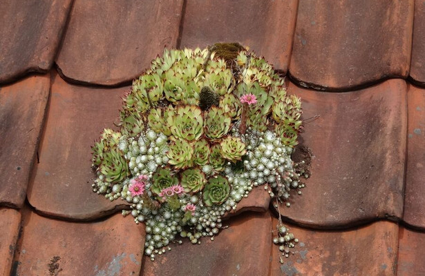 Expeditie Noord-Holland