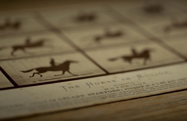Exposing Muybridge