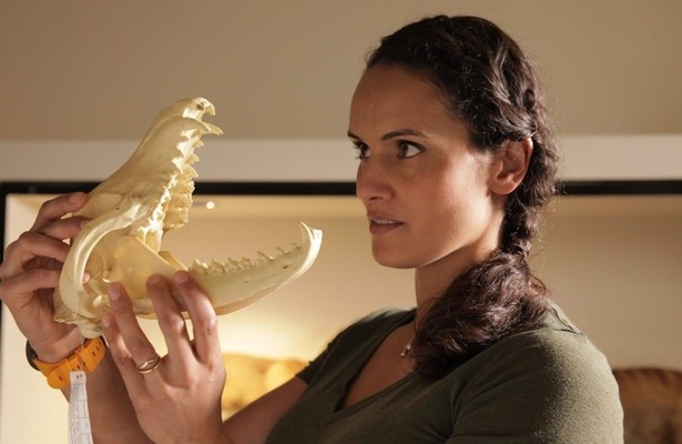 Extinct or Alive: The Tasmanian Tiger