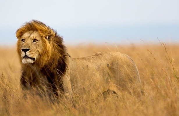 Extreem Afrika