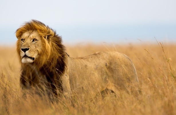 Extreem Afrika