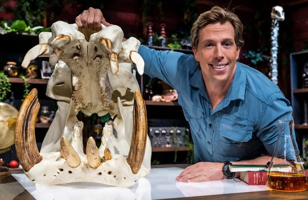 Freeks jungle school