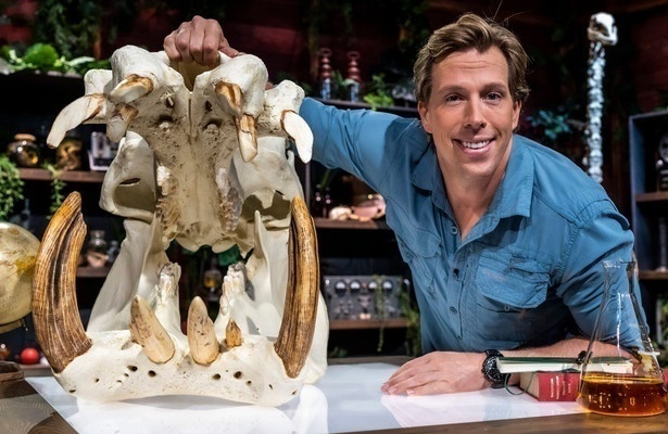 Freeks jungle school