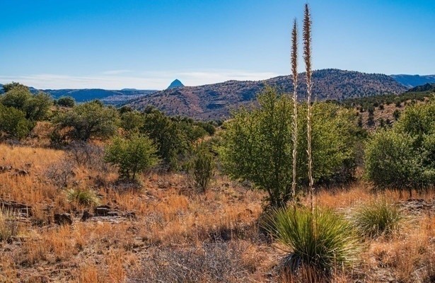 Fremder Stern Texas - Mehr als Cowboys, Öl und Wilder Westen