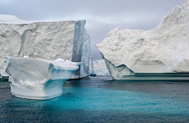 Frozen planet II