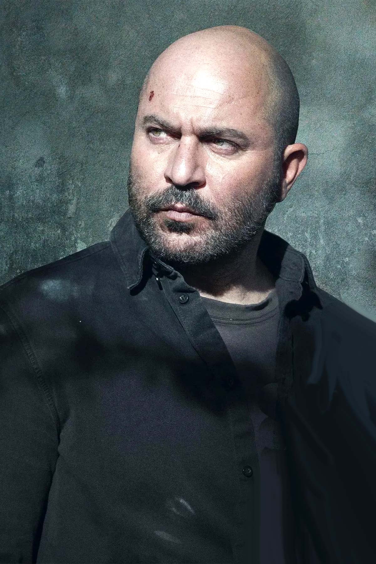 Fauda