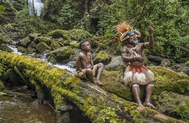 Gardiens de la forêt