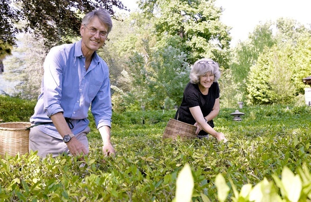Gärten in den Alpen - Von Überlebenskünstlern, Exoten und Pionieren