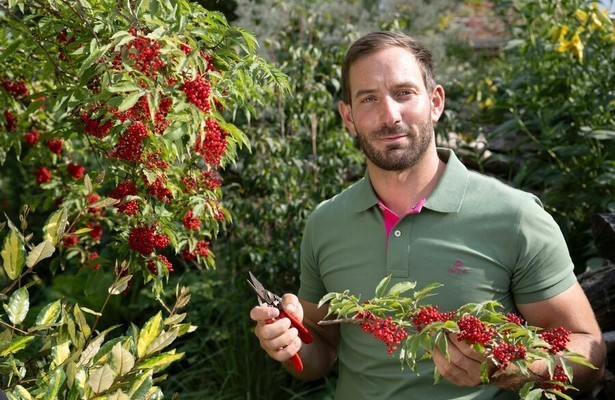 Garten und lecker