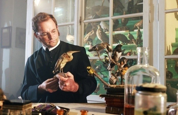 Geheimnisvolle Moorlandschaften