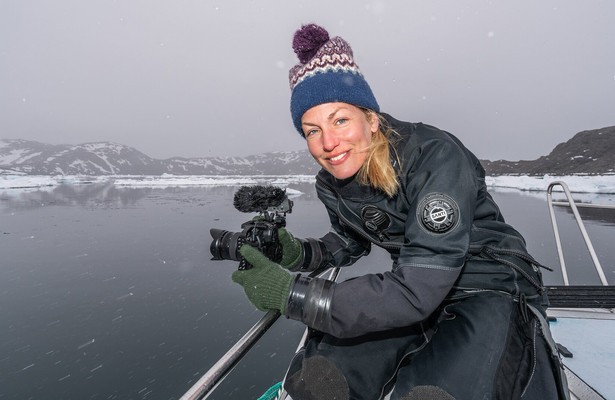 Geister der Arktis - Eishaie und Narwale