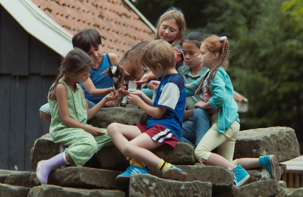 Geitje voor een karweitje