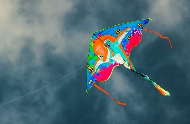 Geo Reportage: Indien - Ein Himmel voller bunter Drachen