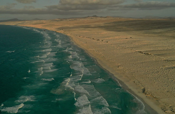 Geo Reportage: Kapverden - Zwei Hunde als Schildkrötenretter