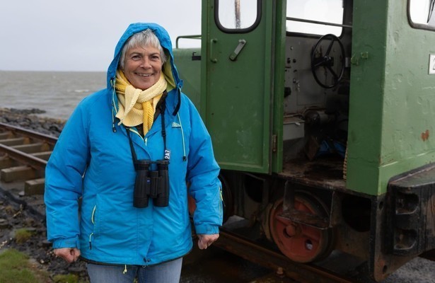 Geo Reportage: Wilde Waterkant - Nordfriesland und seine Gänse