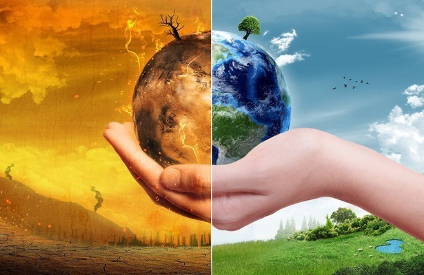 Globalisierung der Natur: Invasive Arten
