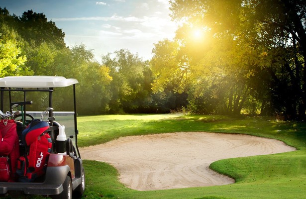 Golf: FedEx St. Jude Championship