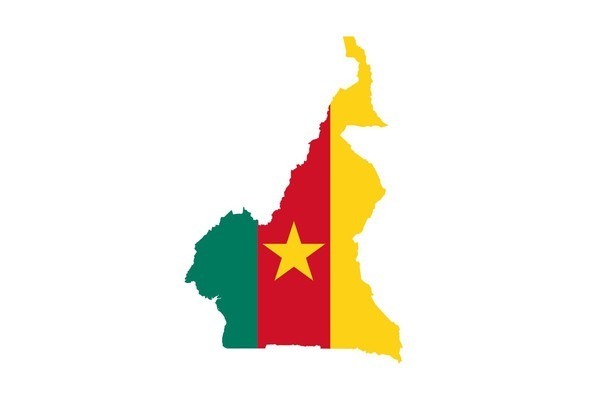 Green Lions: Cameroon '90