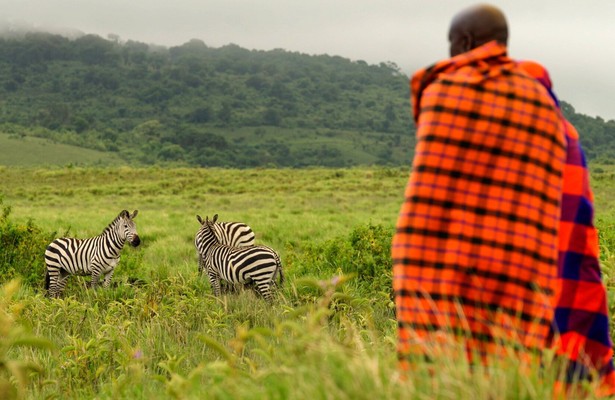 Grzimek und der Kampf um die Serengeti