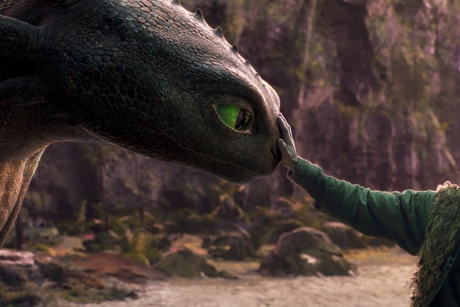 How to Train Your Dragon