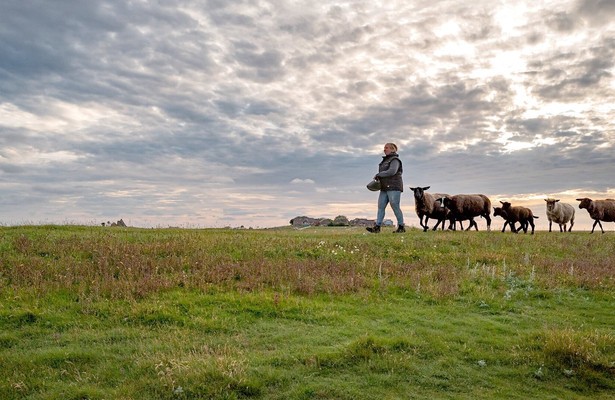 Hallig Hooge - Entscheidung fürs Leben: Harte Arbeit und ein Halligbaby