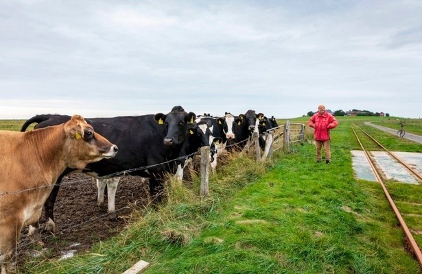 Halligleben in der Klimakrise - Oland im Wettlauf mit dem Meeresspiegel