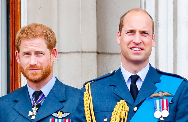 Harry and William: Rise and fall