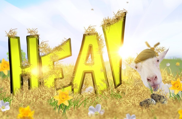 Hea!