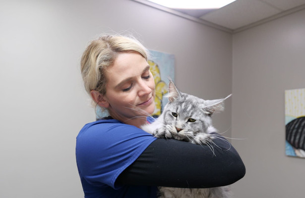 Heartland Docs, DVM: Compilation