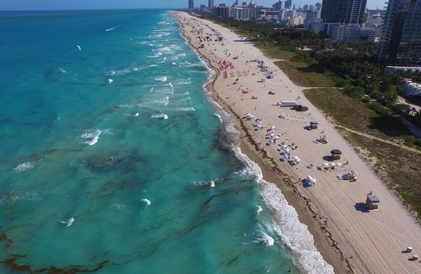 The living beach