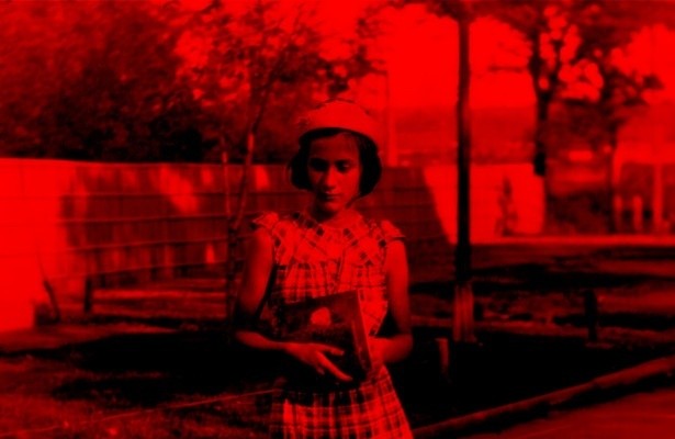 Hitlers Volk - Ein deutsches Tagebuch