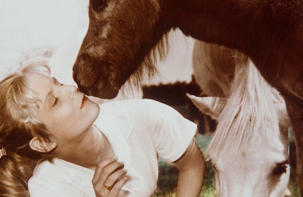 Hochzeit auf Immenhof