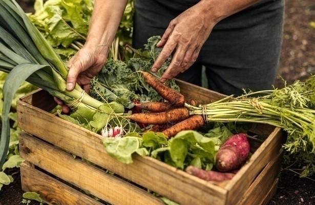 Hofgeschichten - Ackern zwischen Alpen und Ostsee