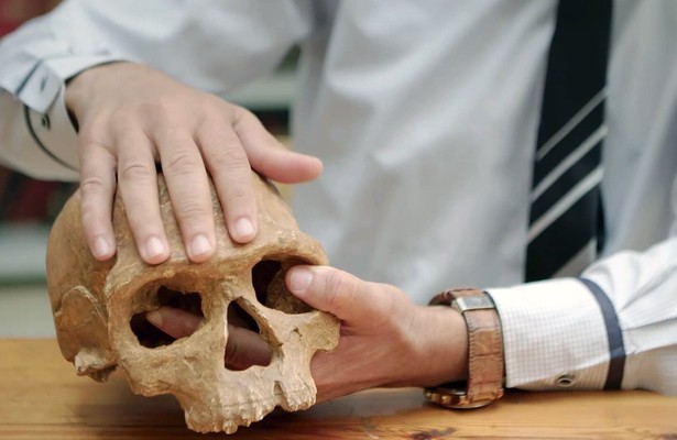 Homo sapiens - Vom wahren Ursprung des Menschen