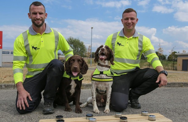 Honden met een bijzondere baan