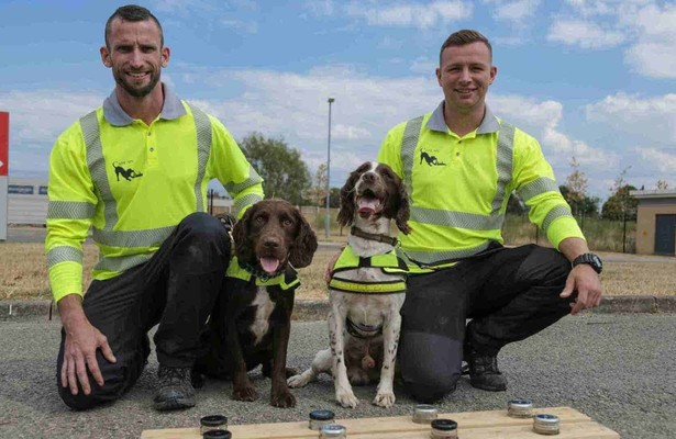 Honden met een bijzondere baan