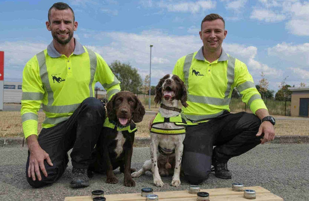 Honden met een bijzondere baan