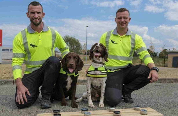 Honden met een bijzondere baan