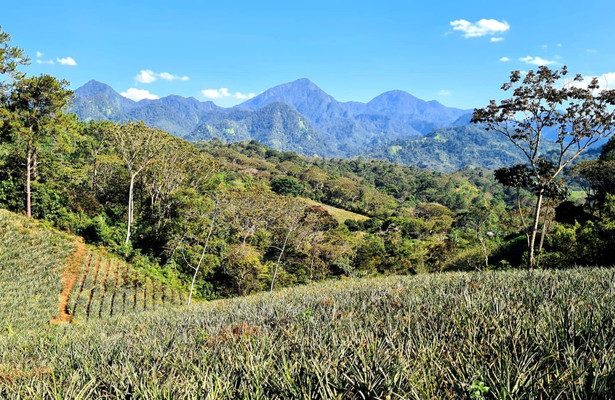 Honduras - Von Regenwald und Strand