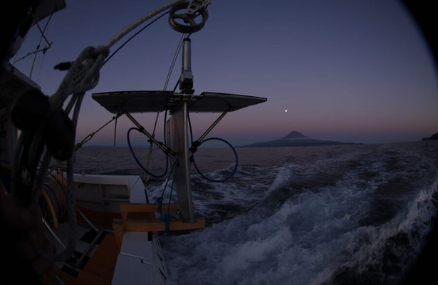 Hunt for the Giant Squid