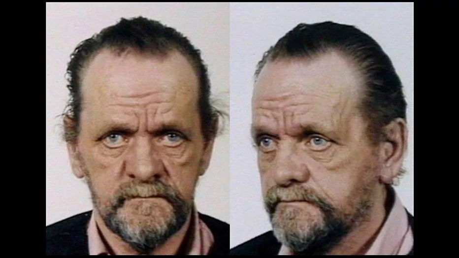 Het Beest van Harkstede