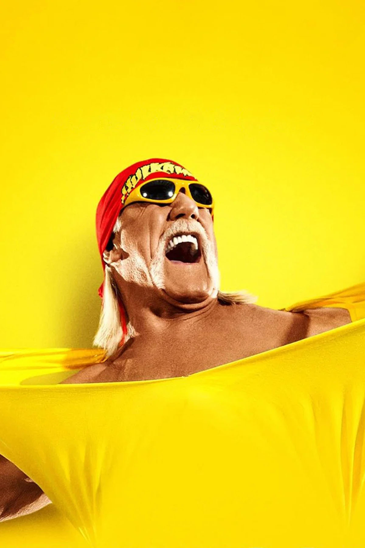 Hulk Hogan: Real American