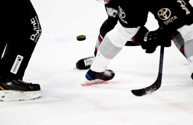 IJshockey: NHL