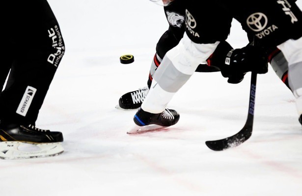 IJshockey: NHL