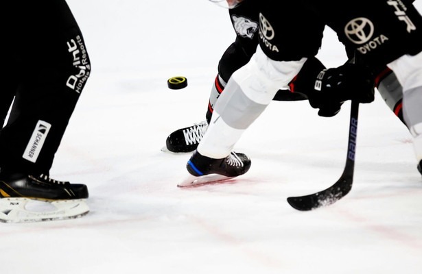 IJshockey: NHL