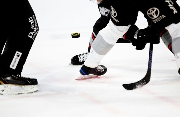 IJshockey: NHL