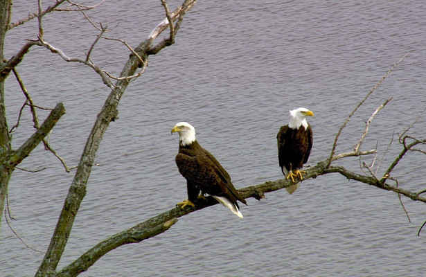 Im Flug über New York