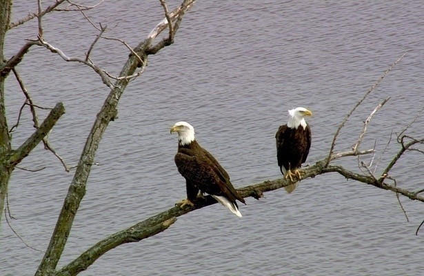 Im Flug über New York